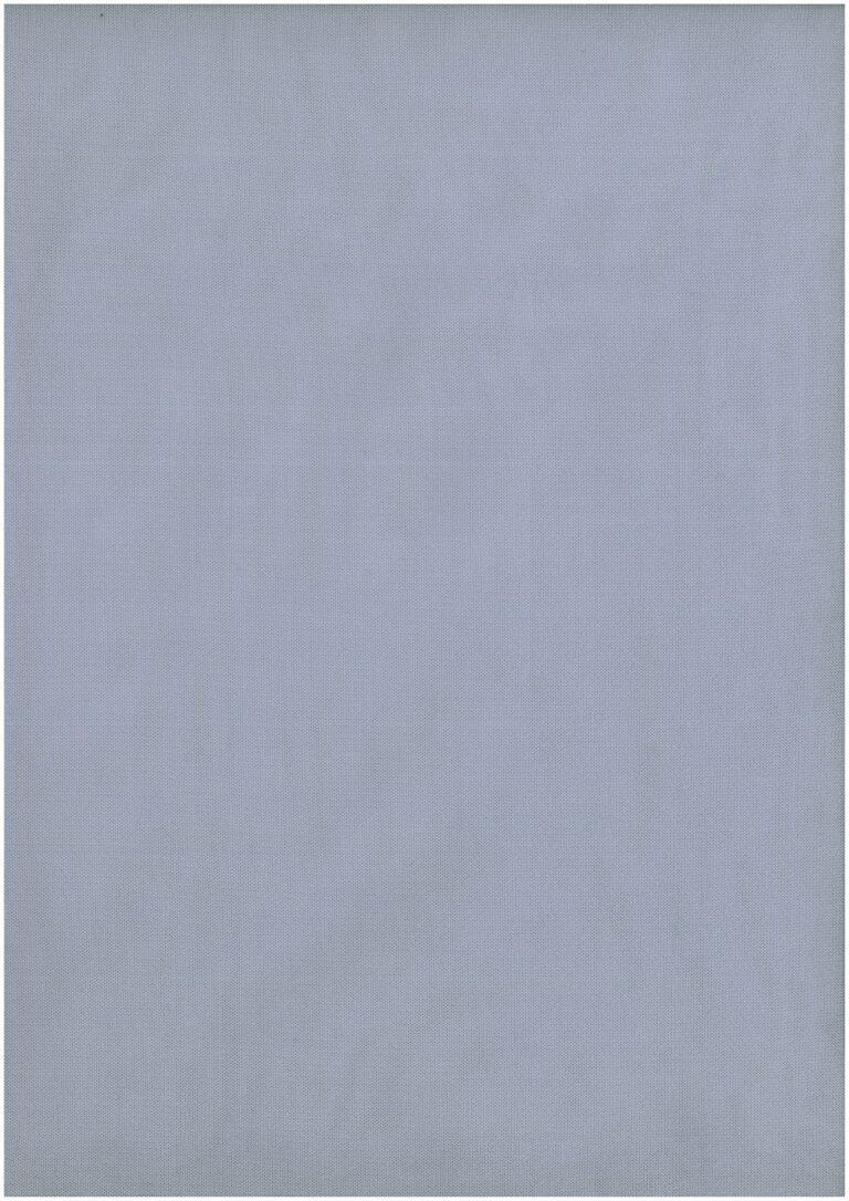 ss17_salvia 2 100